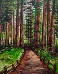 “Redwoods” Print
